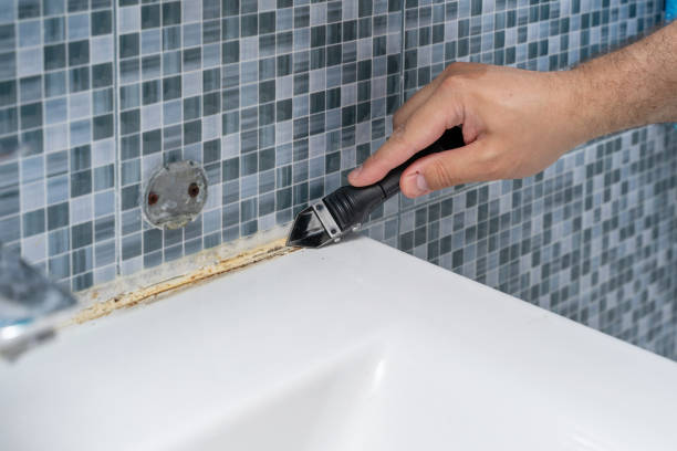 Mold Removal and Inspection in Tonopah, NV