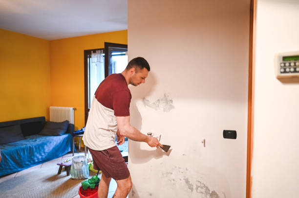 Mold Removal Process in Tonopah, NV